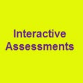 Interactive Assessments